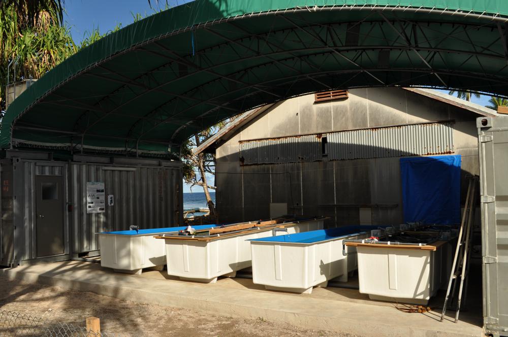 Tokyo University FORAM star sand project located near the port, Funafuti Atoll, Tuvalu