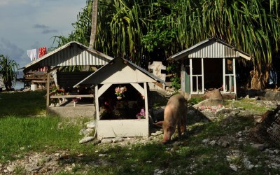 Cemetery (and visitor), Fongafale Island, Funafuti Atoll, Tuvalu