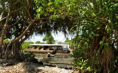 Pig pen, western Fongafale Island, Tuvalu