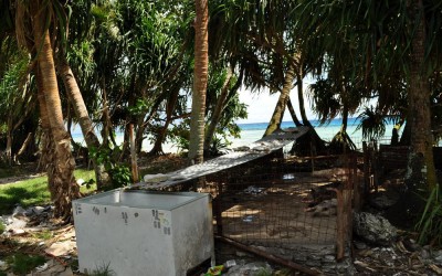 Pig pen near the road, Fongafale, Tuvalu