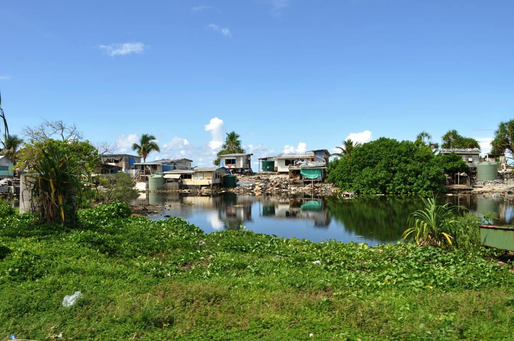 Borrow pits, Funafuti Atoll, Tuvalu. (Earth was 'borrowed' during WW2 times for landfill to build the runway.)