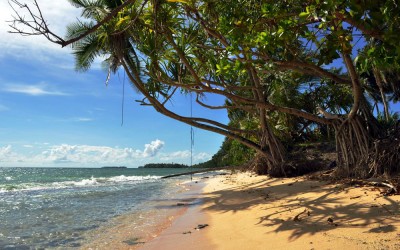 Lagoon side beach, Fongafale Island, Funafuti Atoll, Tuvalu