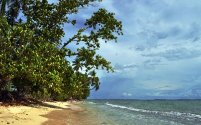 Lagoon side beach, Fongafale Island, Funafuti Atoll, Tuvalu