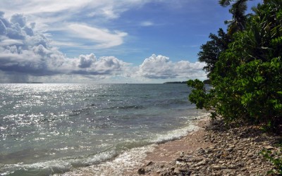Lagoon side of Fongafale Island, Funafuti Atoll, Tuvalu