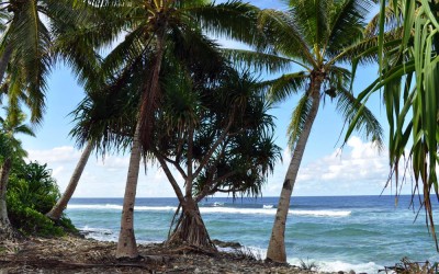 Pacific Ocean coast, Funafuti Atoll, Tuvalu