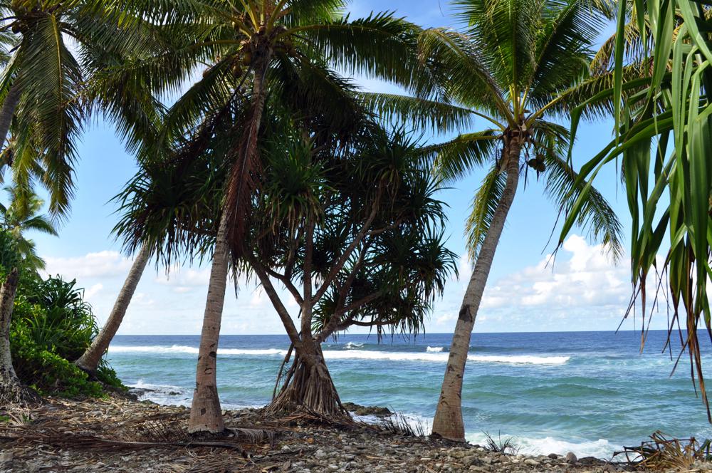 Pacific Ocean coast, Funafuti Atoll, Tuvalu