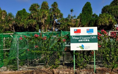 Joint Taiwanese-Tuvalu garden project, Funafuti, Tuvalu