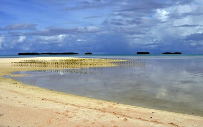 Mangroves planted on Funafala Island (climate change adaptation project), Tuvalu
