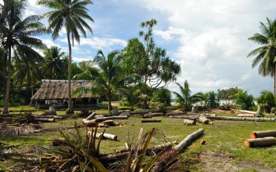 The village on Funafala Island (apparently a recent storm had knocked over trees), Funafuti Atoll, Tuvalu