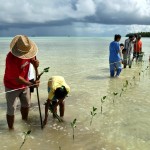Tuvalu Odyssey photo on IPCC report front cover
