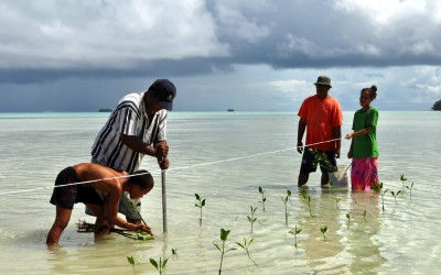 Planting mangroves on Funafala Island (climate change adaptation project), Tuvalu