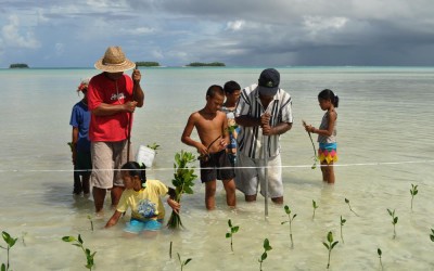 Planting mangroves on Funafala Island (climate change adaptation project), Tuvalu