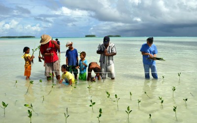 Planting mangroves on Funafala Island (climate change adaptation project), Tuvalu