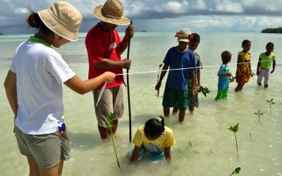 Planting mangroves on Funafala Island (climate change adaptation project), Tuvalu