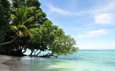 Tepuka Island, Funafuti Atoll, Tuvalu