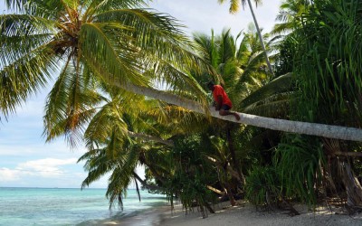 Tepuka Island, Funafuti Atoll, Tuvalu