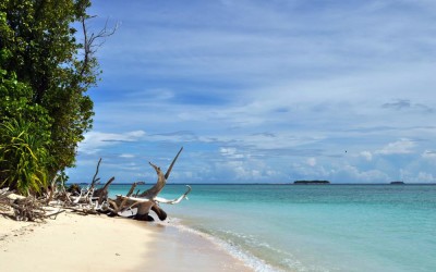 Tepuka Island, Funafuti Atoll, Tuvalu