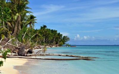 Signs of coastal erosion, Tepuka Island, Funafuti Atoll, Tuvalu